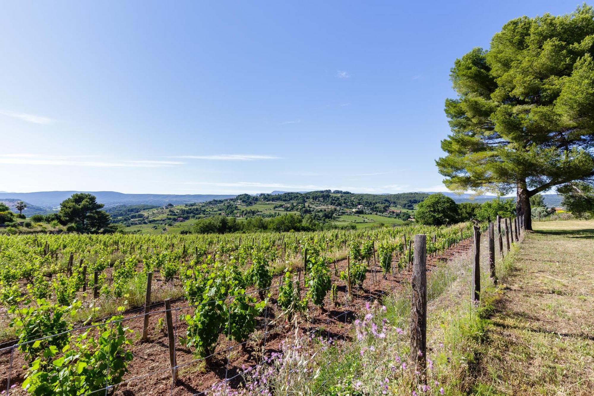 Lodges Park Castellet Provence Le Beausset Zimmer foto